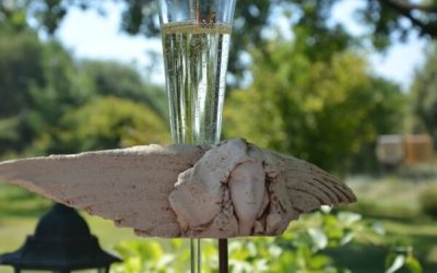 Sezon „Weekendu z coachem w Domu pod Aniołami” rozpoczęty!